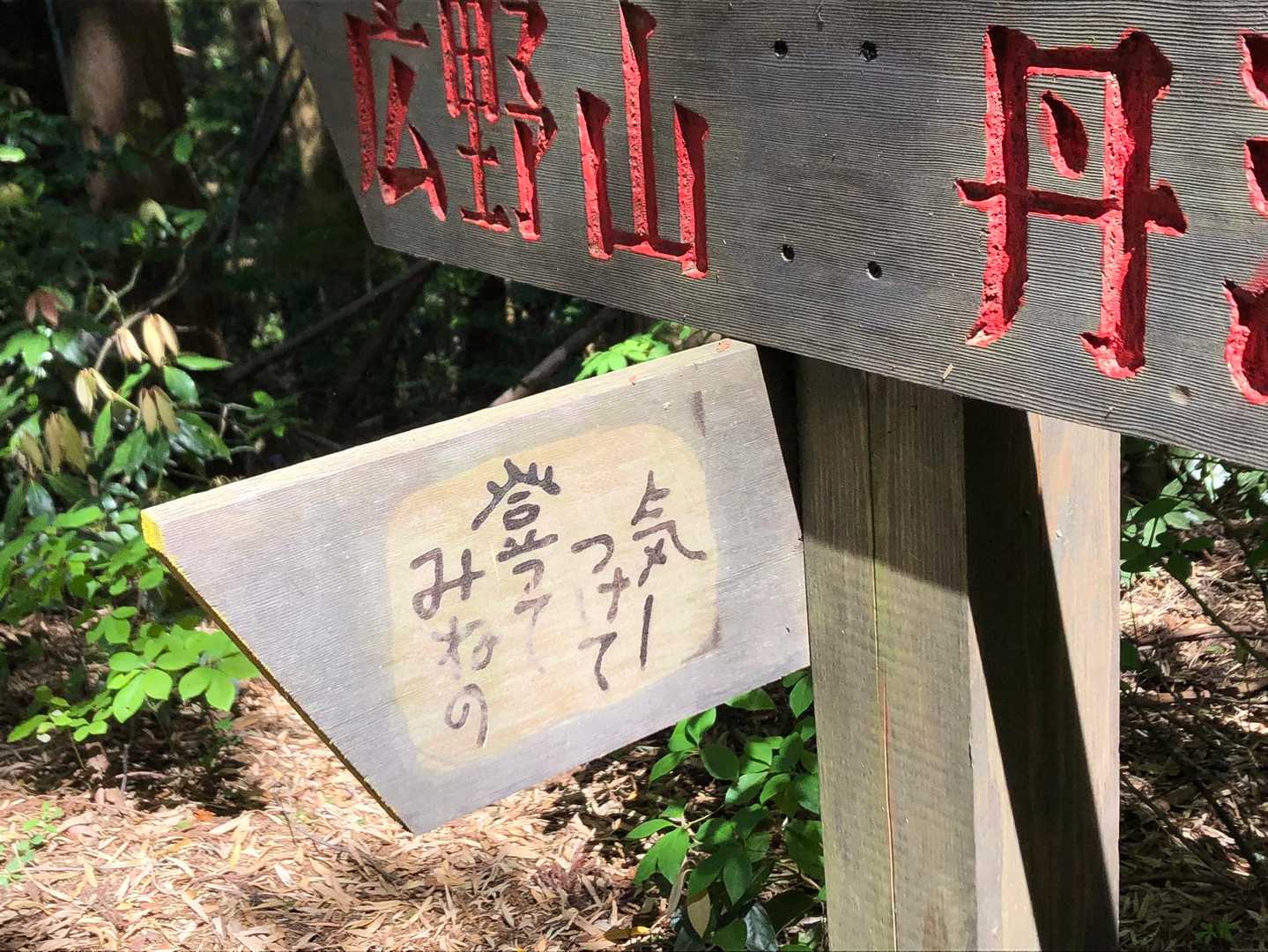 大正寺登山口-榎坂峠-丹波岳 往復コースの写真