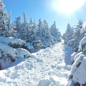 青空とスノーモンスター