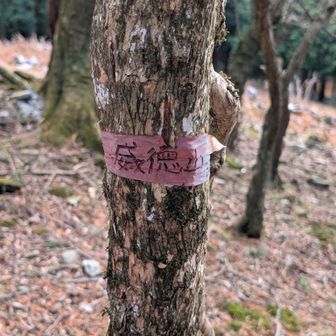威徳山一番北側の奥の山