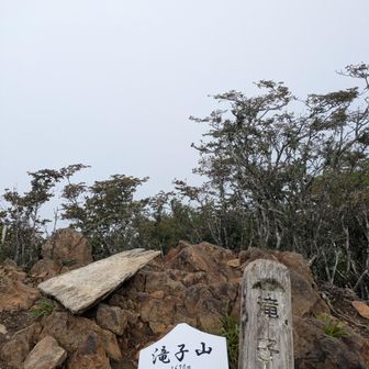 何も見えませんでした。