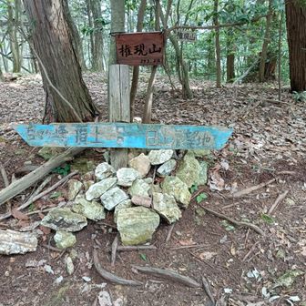 権現山 山頂に着きました。