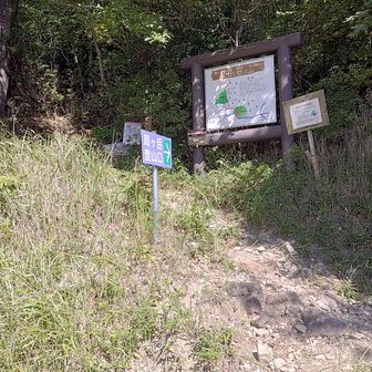 向かいが新道の登山口です。