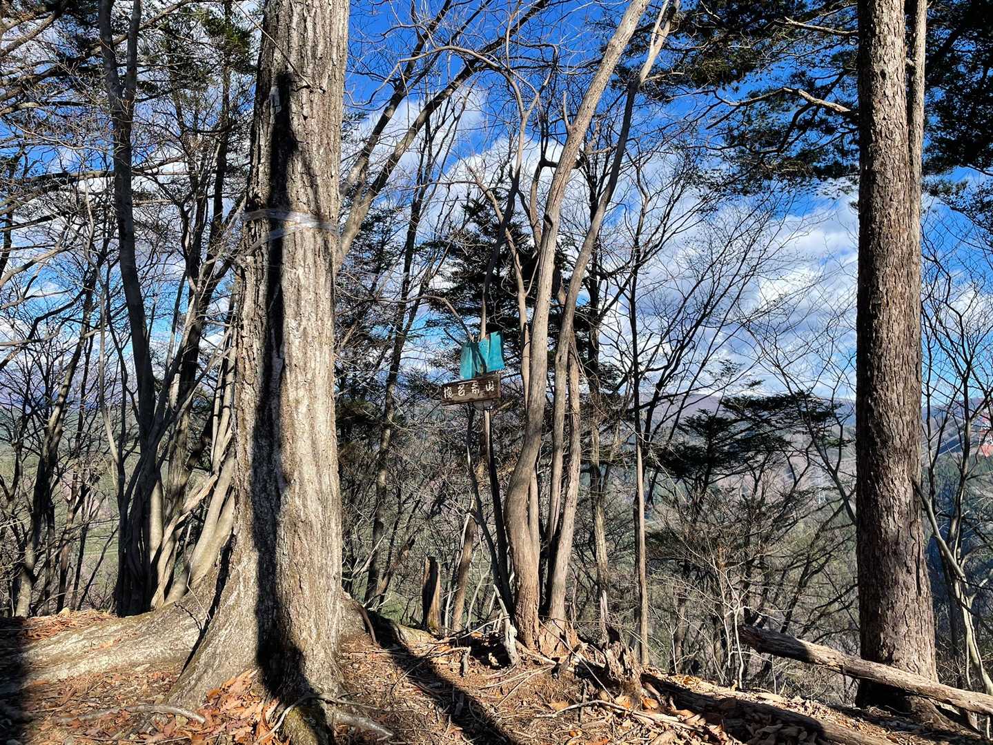椀名条山