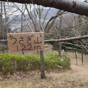 住宅街のロードを登り、
なぜか下って、うさぎ山🐇
干支から遅れること4年💦