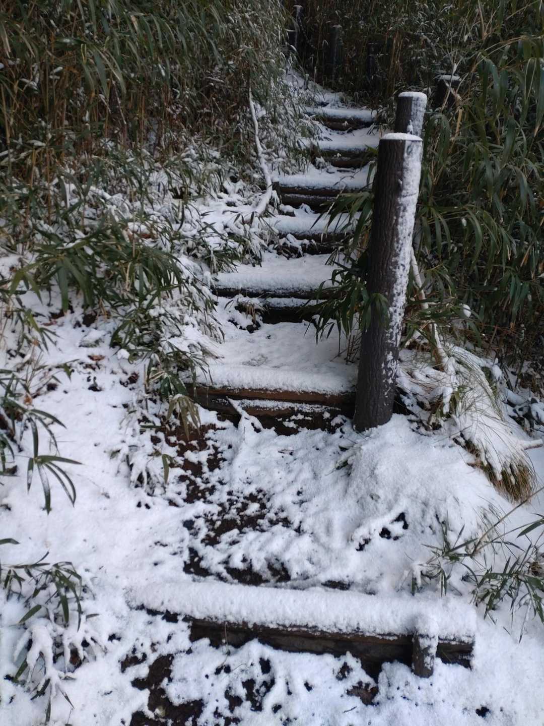登り口から雪がある