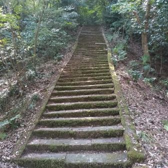 ここから、YAMAPには載ってないルートで山頂へおかわり登山