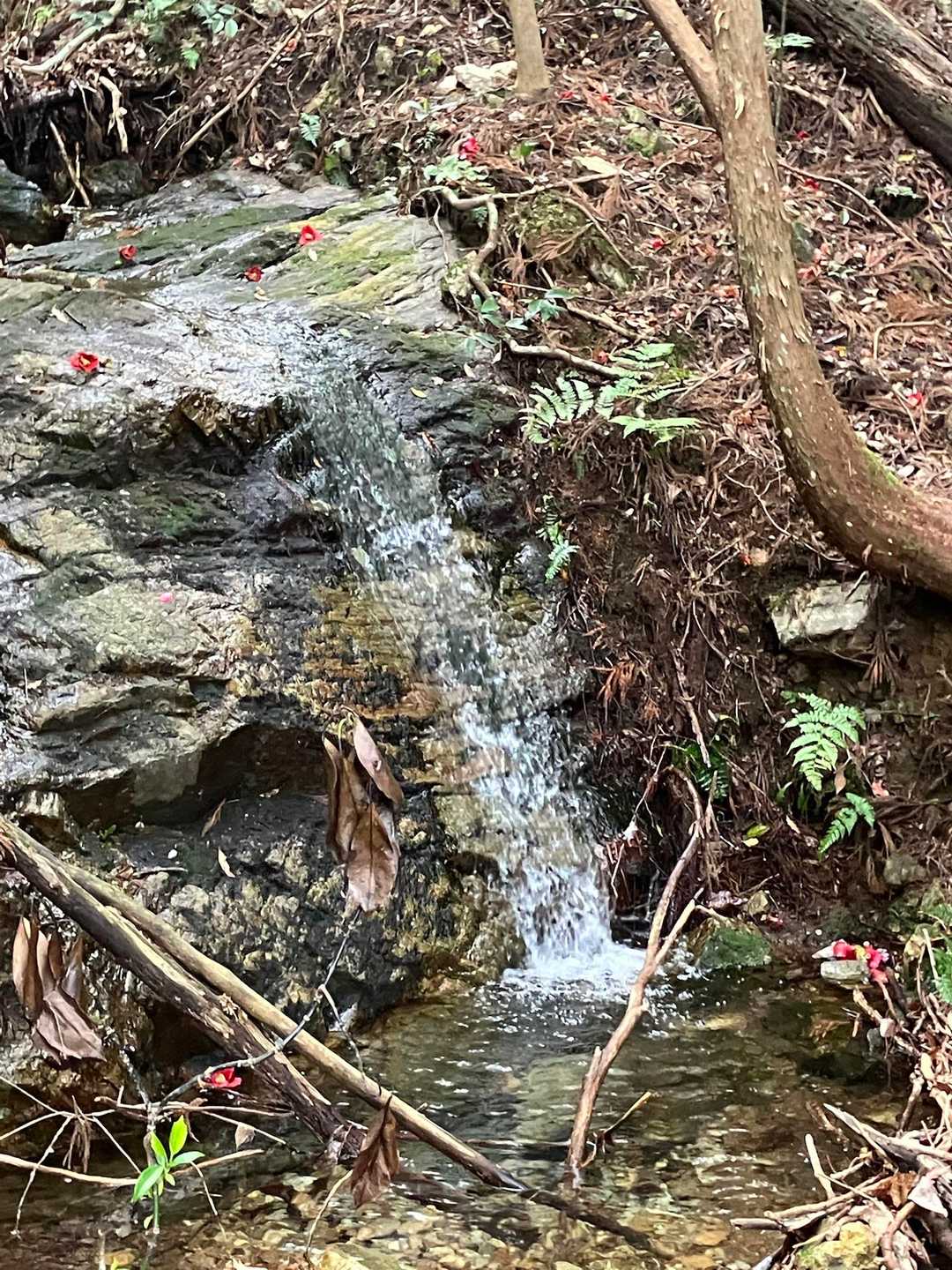 冷たい水を触ってみる　気持ち良い😆