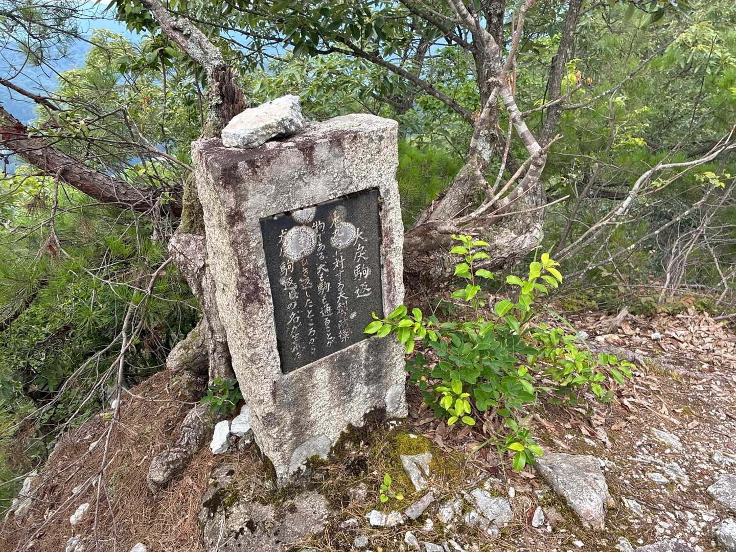 犬戻駒返(犬も駒も通ることができず引返す絶壁)