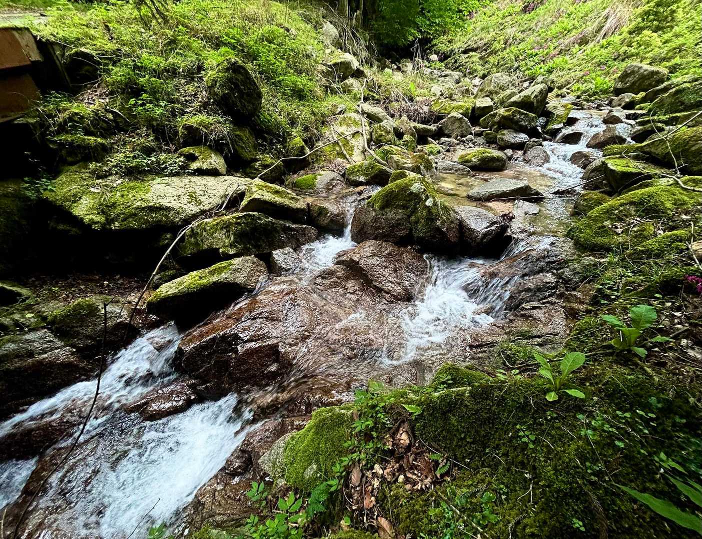 沢から吹き抜ける風🍃がほんと気持ちいい🫠
