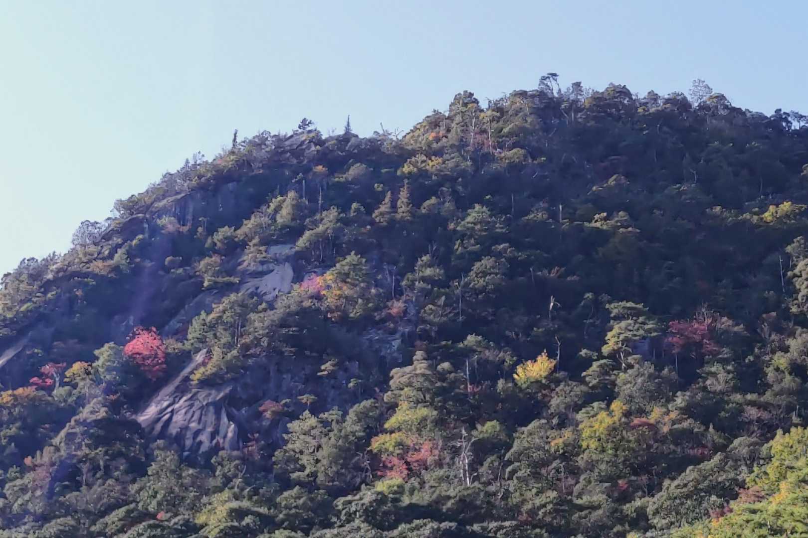 南登山口-鎌倉寺山 南峰-権兵衛山-牛岩登山口 周回コースの写真