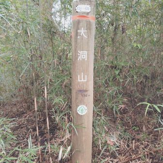 大洞山
これでセブンサミッツ＋α完了
松枝峰は見落とした🤪