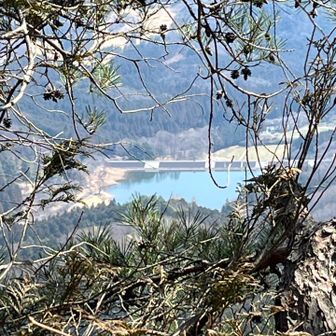 遠くにダム。あそこまで帰るのかぁ。