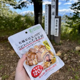 富士山は見れず…常備栗でエネチャージの栗活🌰