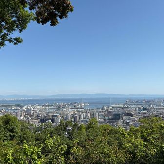 保久良神社からの眺め👀
ダイトレの山々の稜線がはっきりと見える