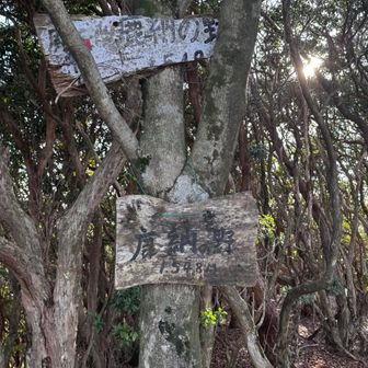 野！

ここではおみゃく様出さず