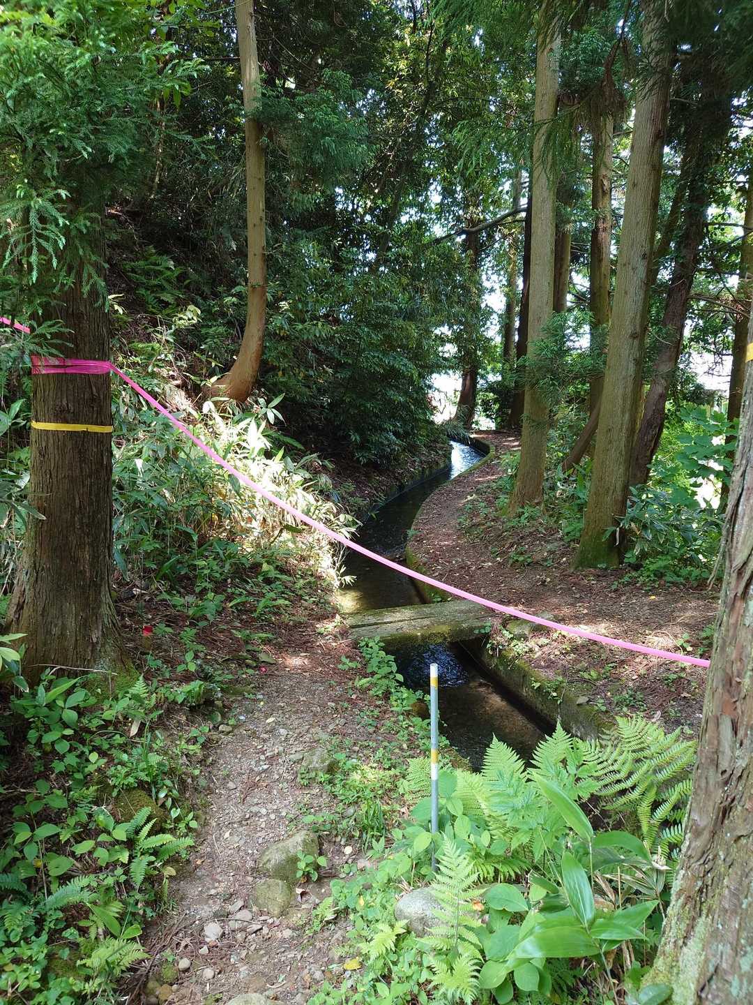 痛みが出なくて、ほっと一安心