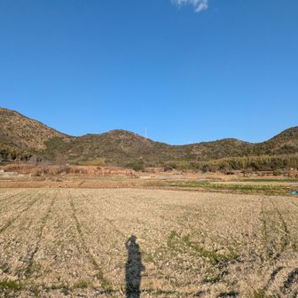 歩いた山を眺める