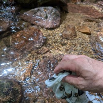 タオルべたべたに濡らして頭を冷やす！
気持ちいい！