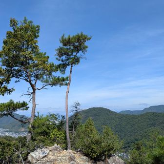 あそこは単に見晴らしが良いだけでその先は崖か？と思いましたが