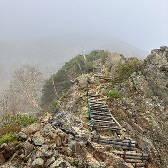 切通岩からの大天井岳へのハシゴの登り
疲れる