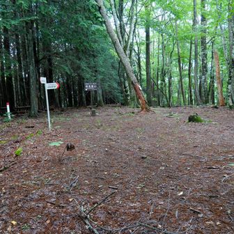 奈良倉山山頂。一応、秀麗富嶽十二景😅腰掛ける場所もないし、持参した飯は小菅の湯で食べることになりそう。