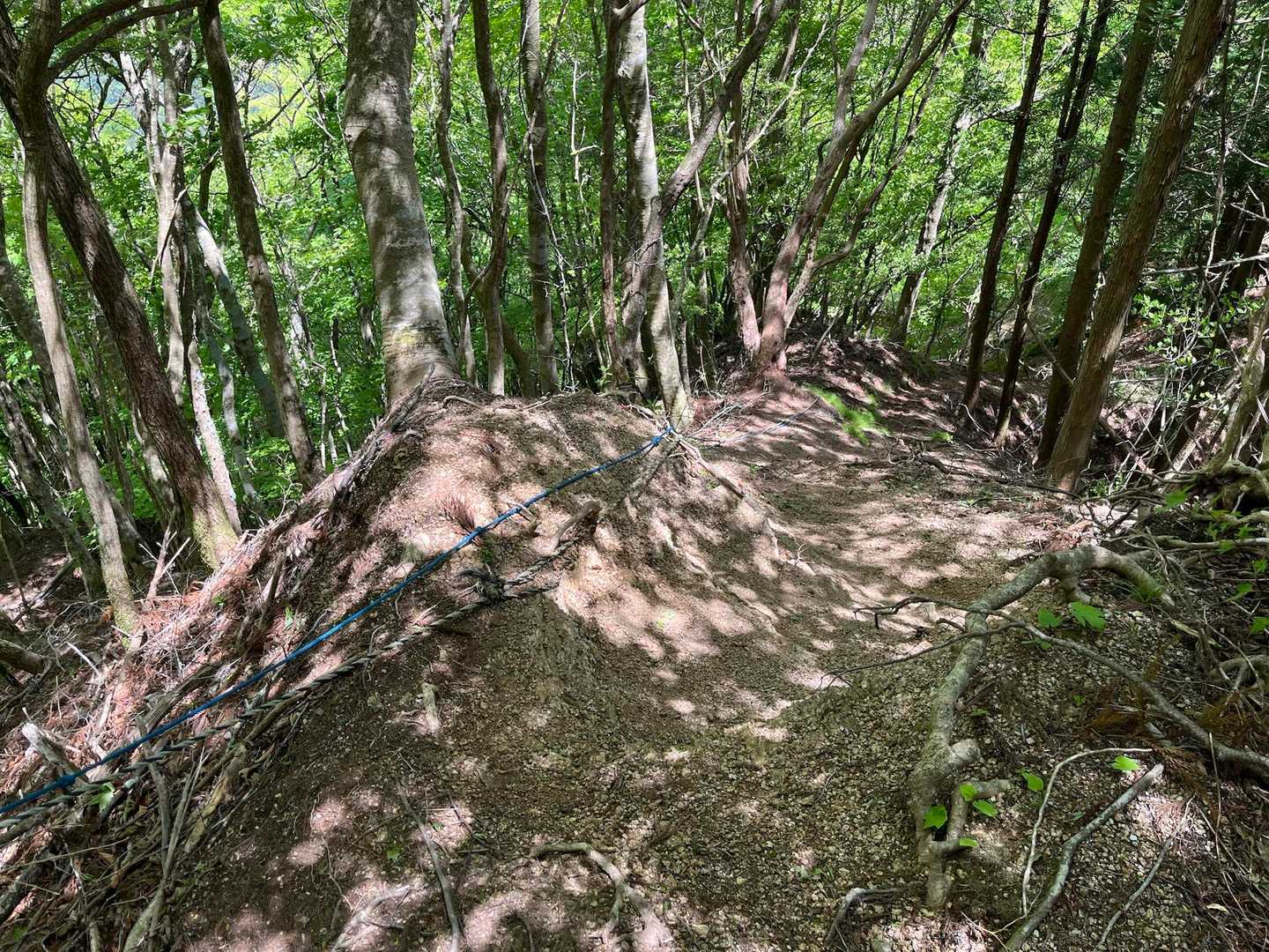 お助けロープが続く