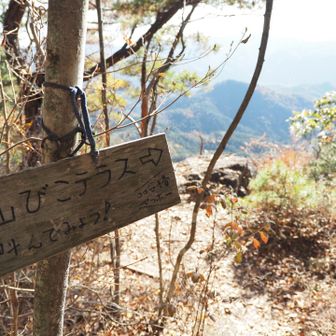 いいテラスです