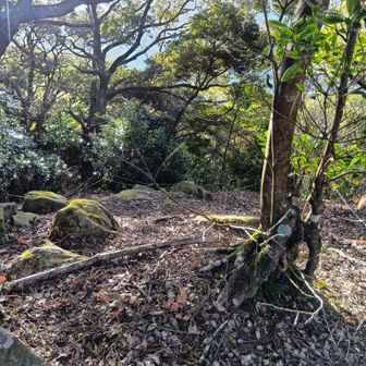 曲輪　（くるわって聞くと時代劇の郭が浮かんでしまう）