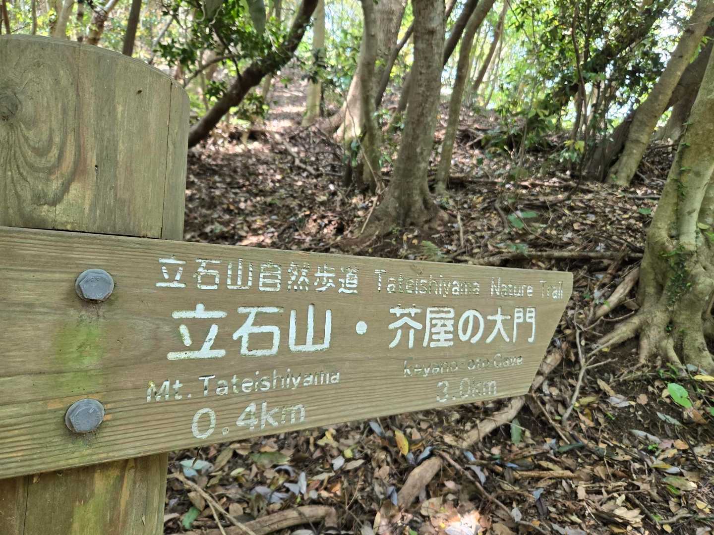 ここからは海を見ながら😍