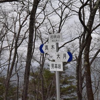 いくつかのピークを越えて花咲山山頂
いや～きつかったです