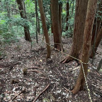 だいだら坊の岩までは
このようなロープの所を下っていきます😆