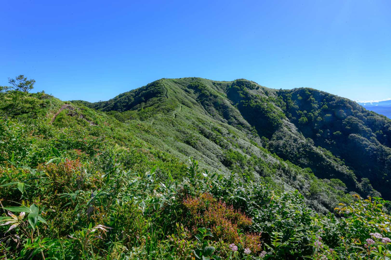 もう少しで大日ヶ岳山頂