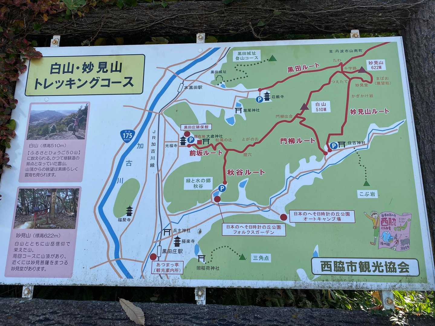 コース、色々あるみたいです。