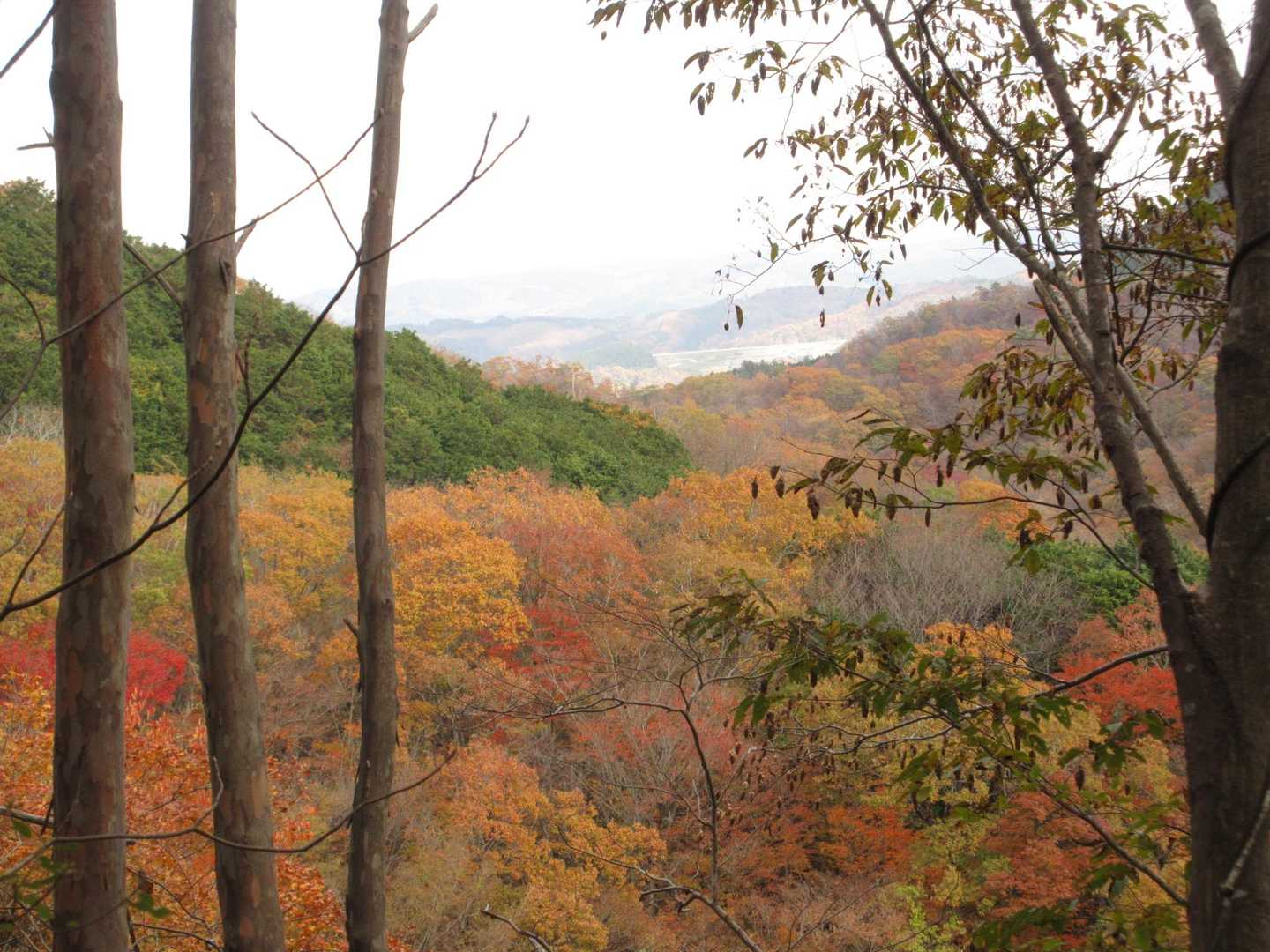 
また登り返す💦🍂🍁
