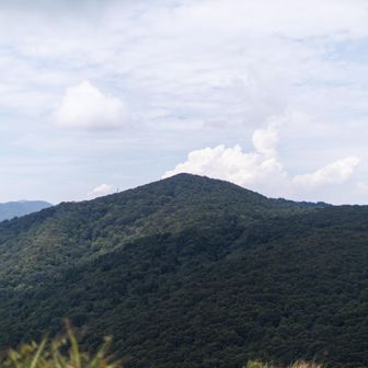 三国山
行かれん
