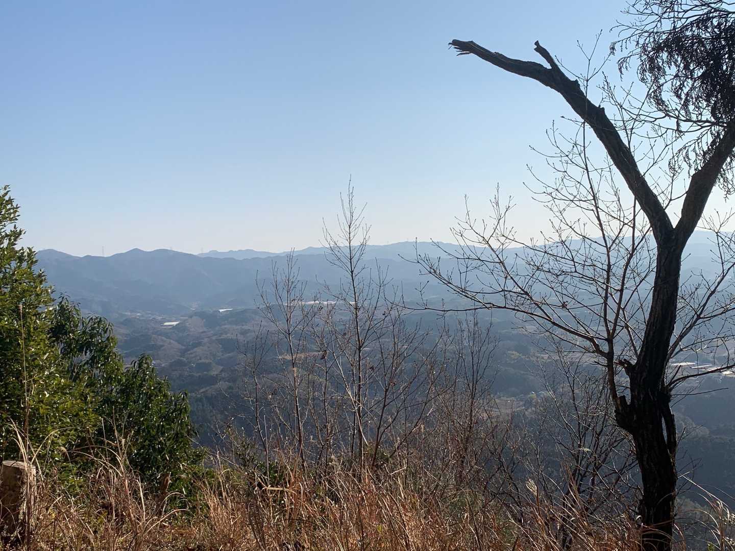 意外と落ち着く山頂でした🗻地域住民に愛されている里山なんでしょうね🎵🥰💕さて、下山開始🌟勿論山道にゴミなどありません(*´ω｀*)🎵