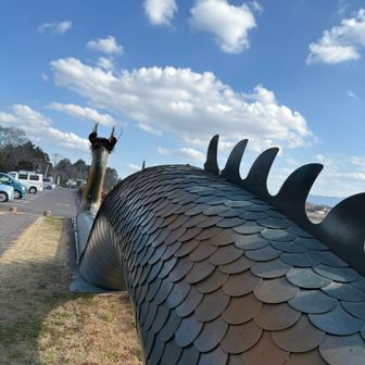 後ろ姿　鱗もちゃんある！