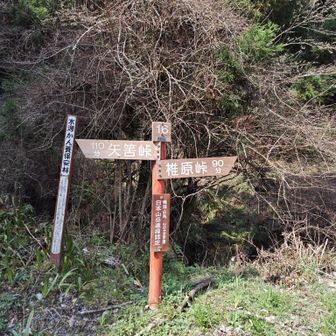 ここから登ります