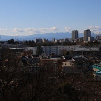 丹沢がよく見える