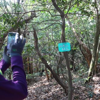 白禿山山頂
YAMAP1654座目
