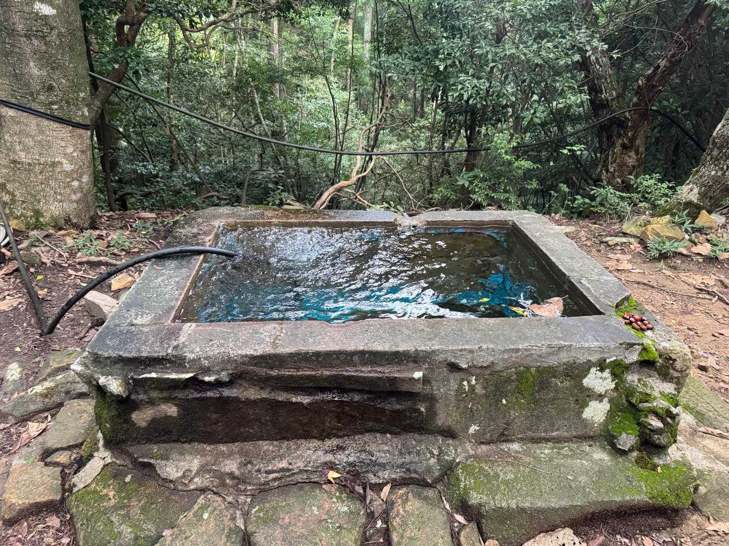 コンコンと湧いております💦