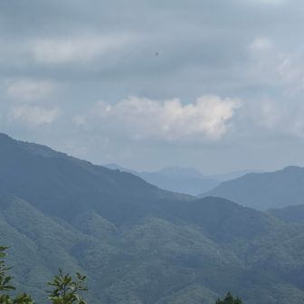 小津三山(小津権現山・花房山・雷倉)
