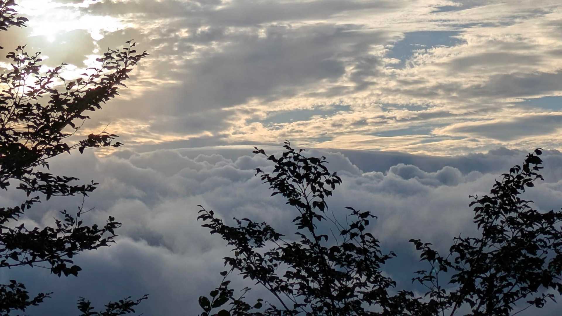 東の空は雲海☺️