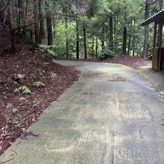ヒルに怯えながら走ったりしてやっと舗装路に