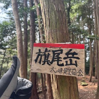40分ほどで旗尾岳まで戻ってきました
あとはひたすら下るだけ