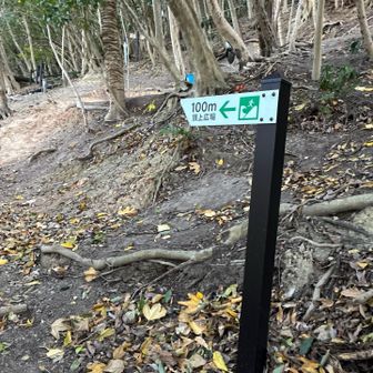 ようやく打越山のピークハントへ。