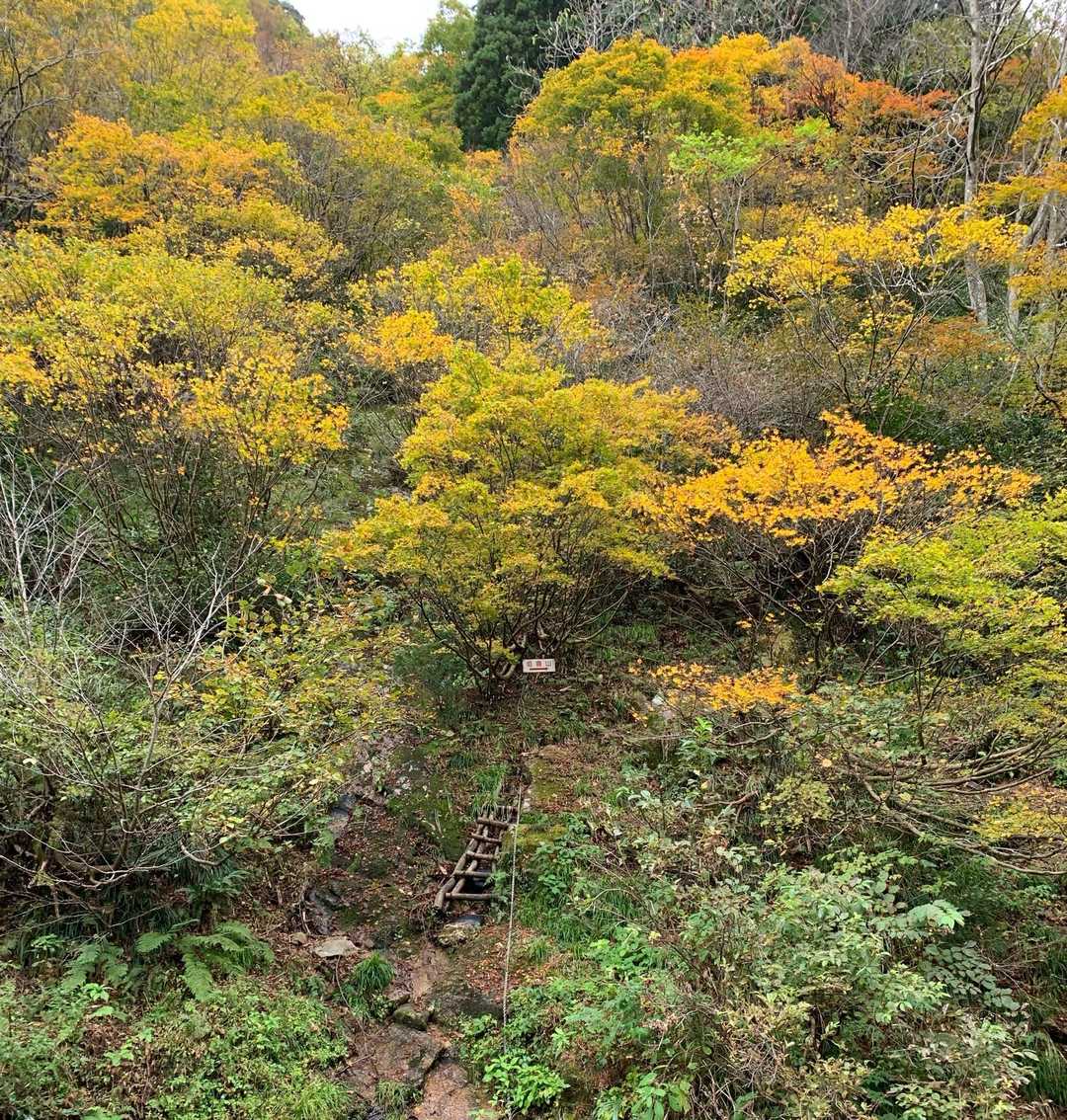 滑る岩場にロープとなかなか大変...