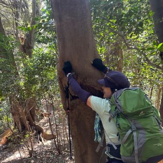 終わり近いくなって、
どどりんちゃん、手で👀つくる