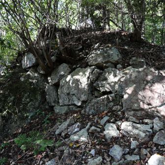 石塁。遺構としてはこれくらいしか残っていません。