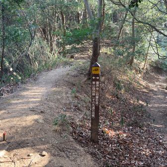 東山分岐を左へ
東山へ寄ります。